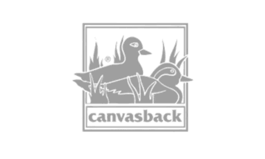 canvasback